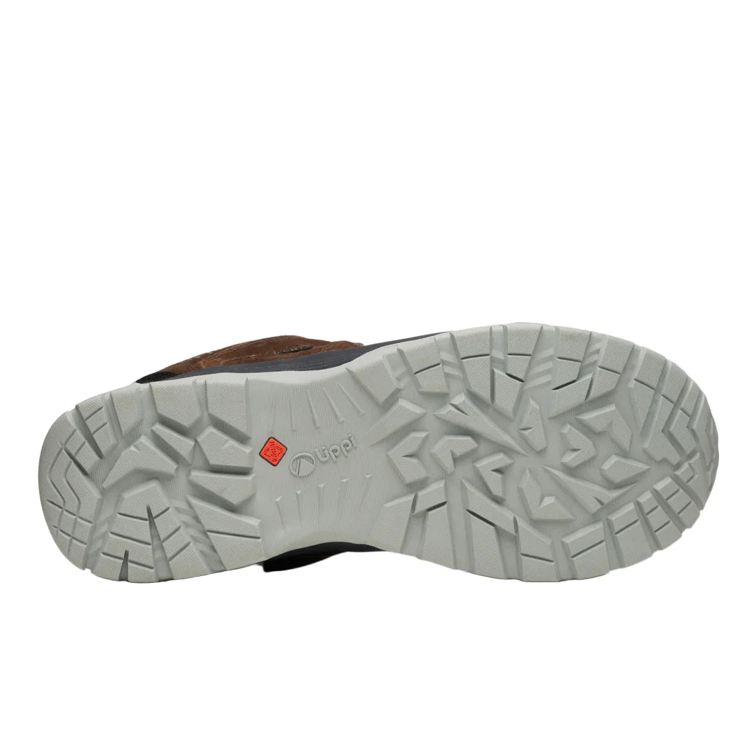 Zapato Lippi Tellus Low Cafe Eur 42 Masculino
