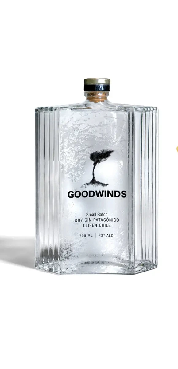 Gin Dry Goodwinds 700 ml