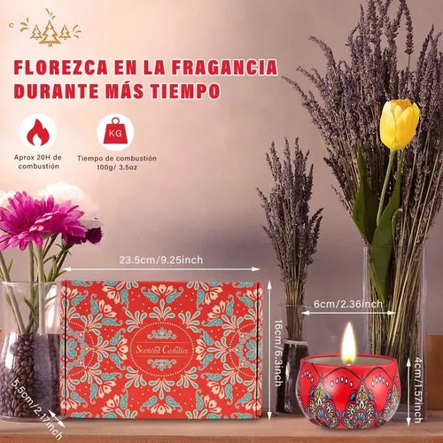 Set De Velas Aromaticas Scented Candles Decorativas 6 Unidad