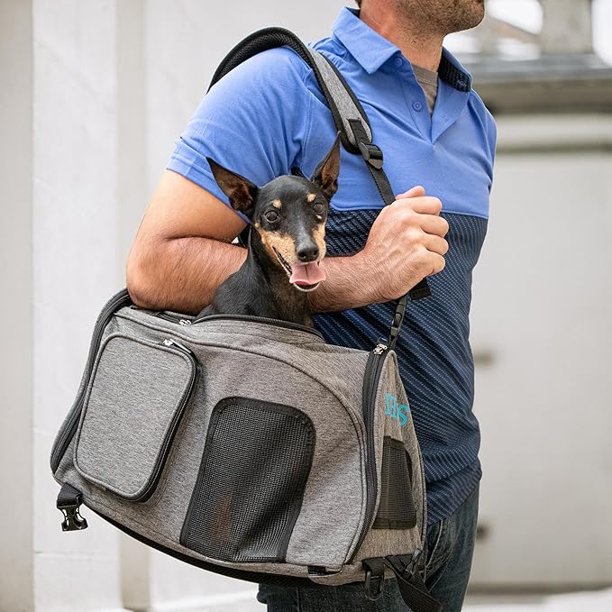 Mochila De Viaje Para Mascotas Sherpa 55528 /  2  En 1 Gray M