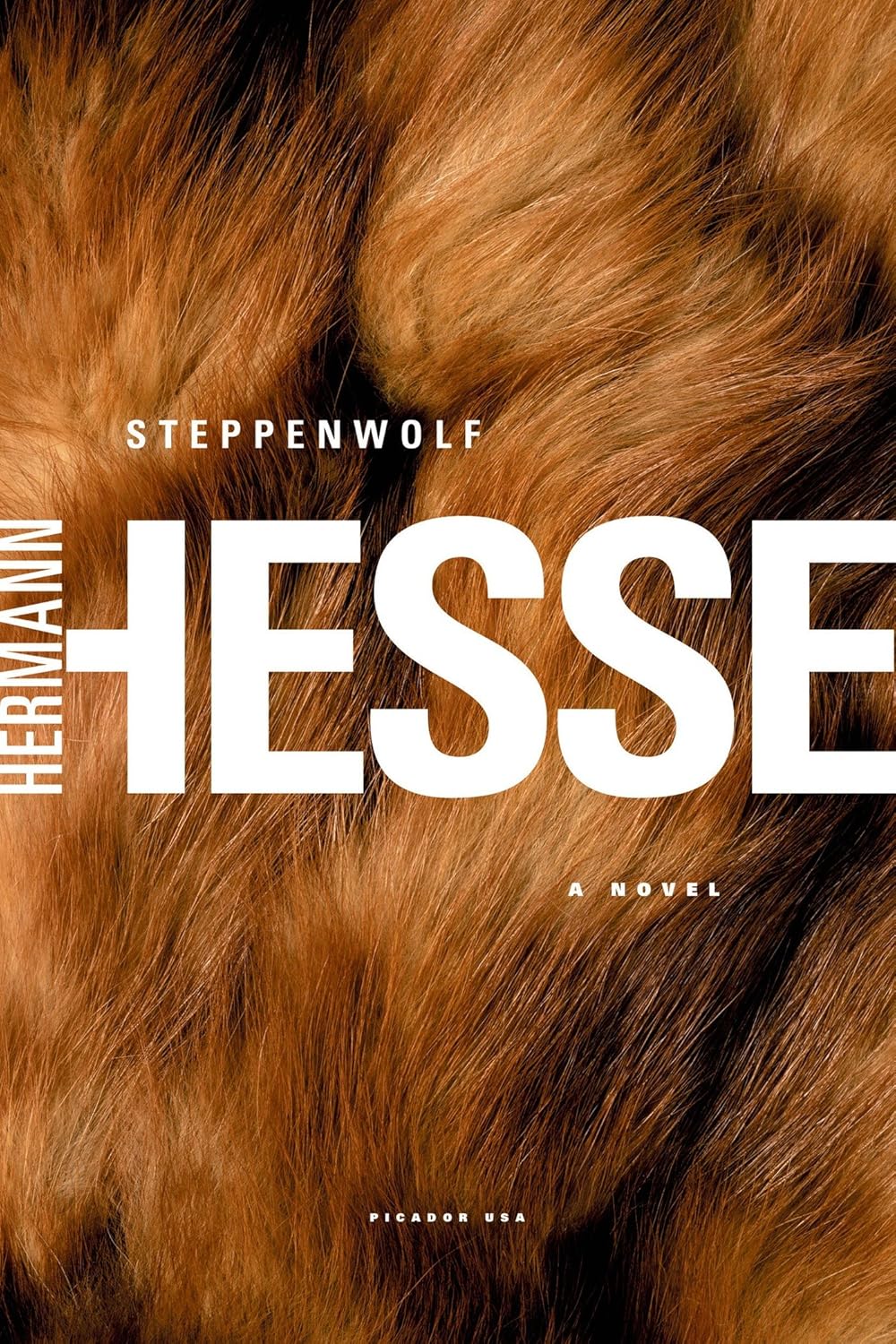 Libro Picador Hermann Hesse  A Novel