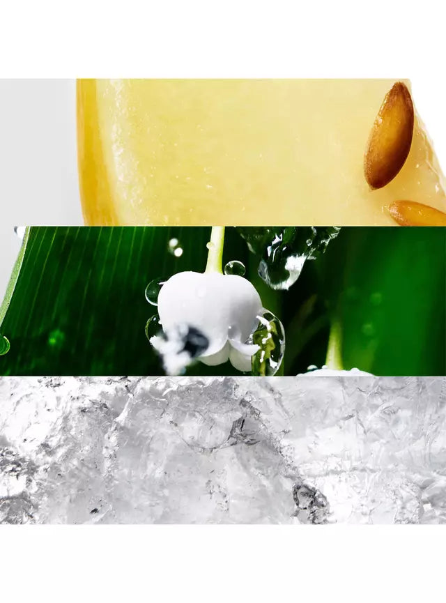 Perfume Davidoff Cool Water Femenino 30 ml