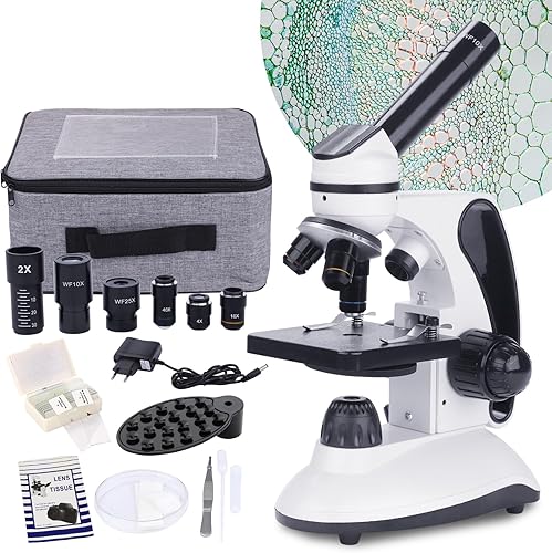 Microscopio Monocular Bebang Aumento De 40x-2000x