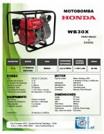Motobomba De Agua Wp30x