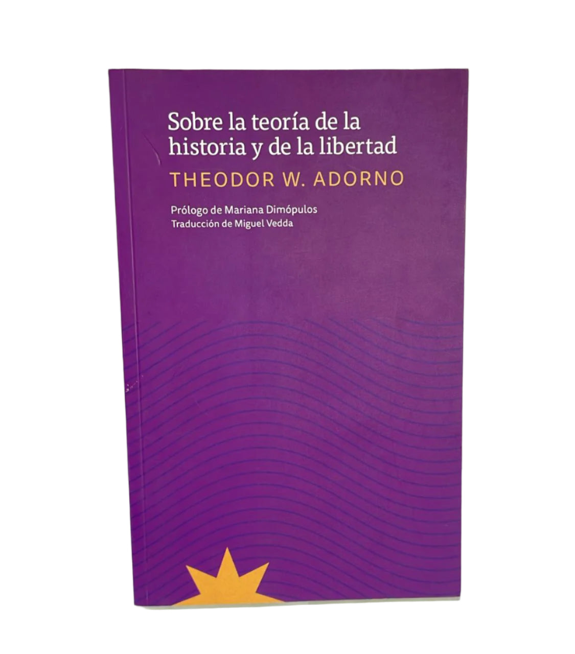 Libro Sobre La Teoria De La Historia Y De La Libertad Theodor W. Adorno