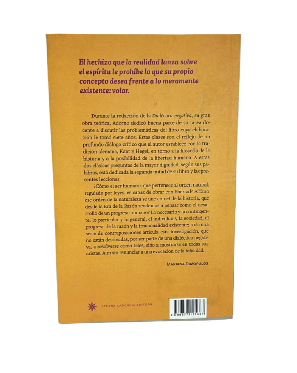 Libro Sobre La Teoria De La Historia Y De La Libertad Theodor W. Adorno