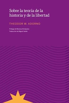 Libro Sobre La Teoria De La Historia Y De La Libertad Theodor W. Adorno [Openbox] [Est]